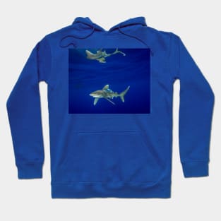 Cruising Oceanic White Tip And Surface Reflection Hoodie